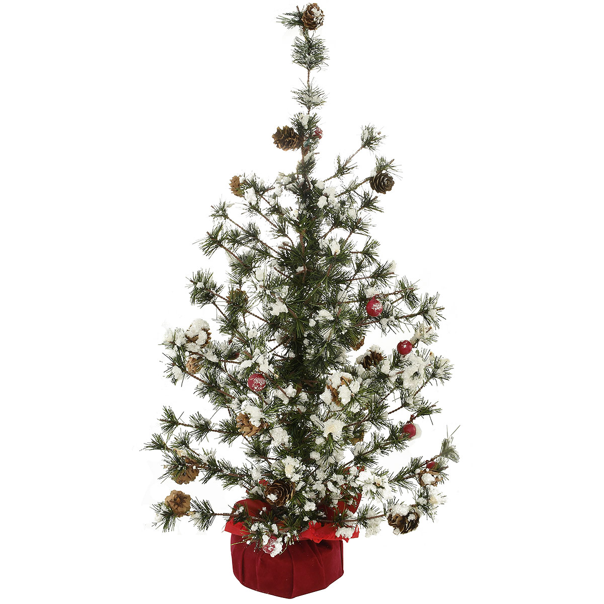 Red Holly Leaf Cone Trees - 24 inch