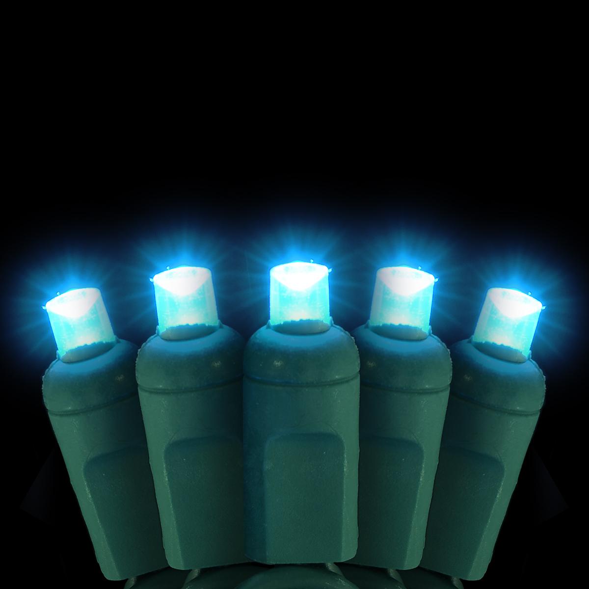 Teal 50 LED Conical LED Light Set
