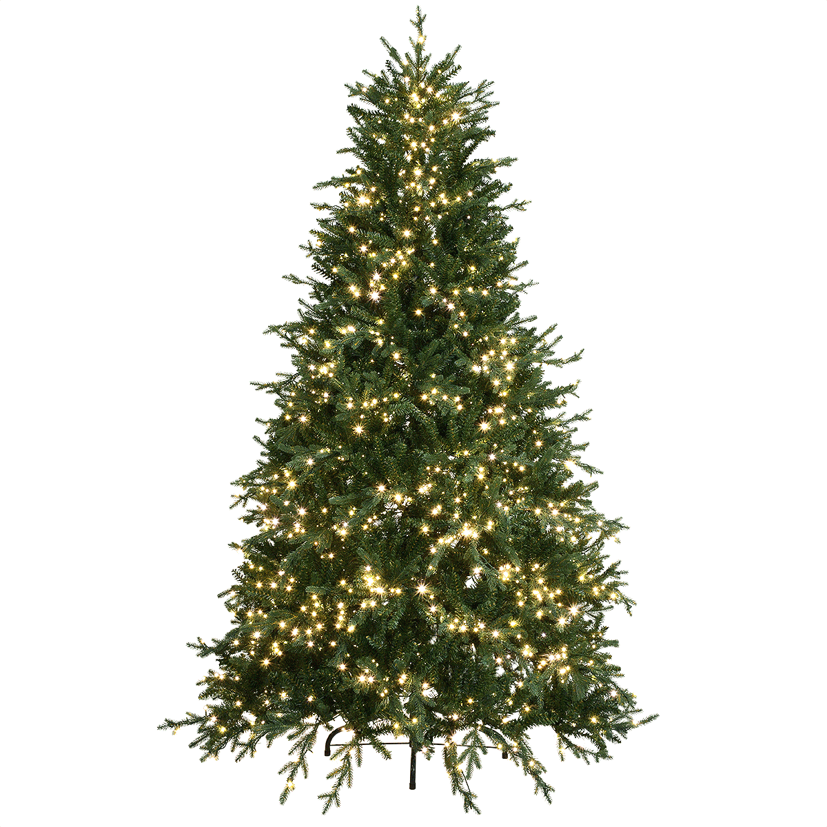 7.5 Ft. Royal Norther Fir Tree
