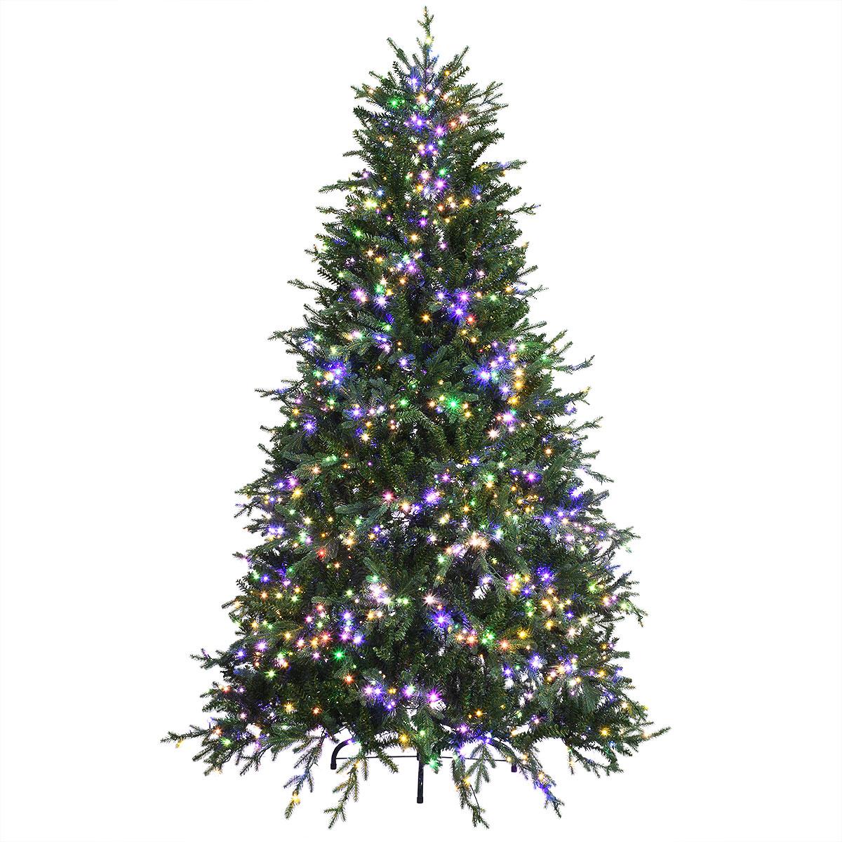 7.5 Ft. Royal Norther Fir Tree