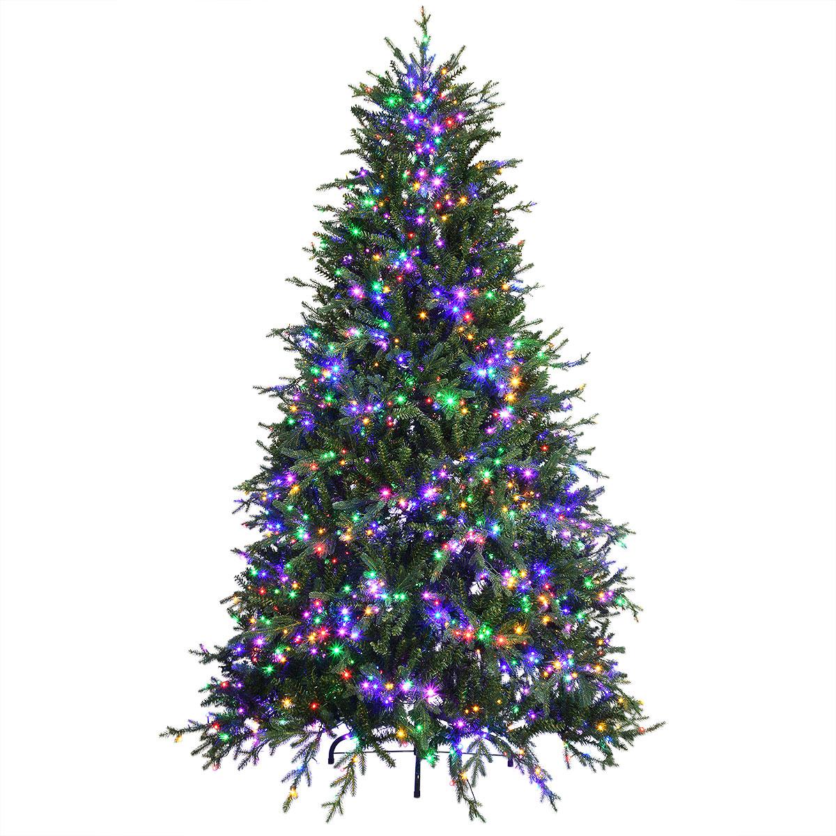 7.5 Ft. Royal Norther Fir Tree