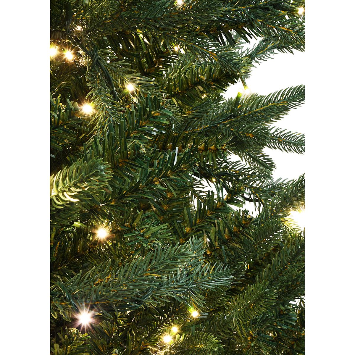 7.5 Ft. Royal Norther Fir Tree