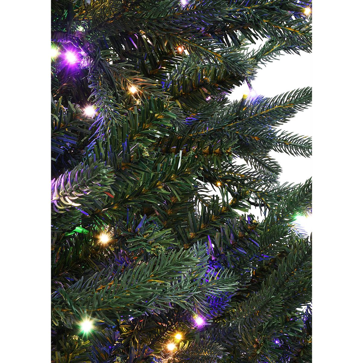 7.5 Ft. Royal Norther Fir Tree