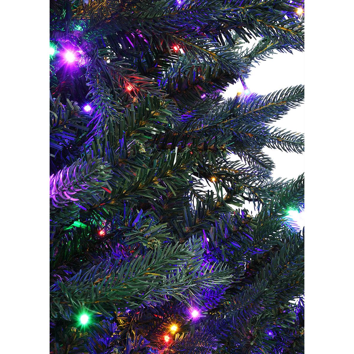 7.5 Ft. Royal Norther Fir Tree