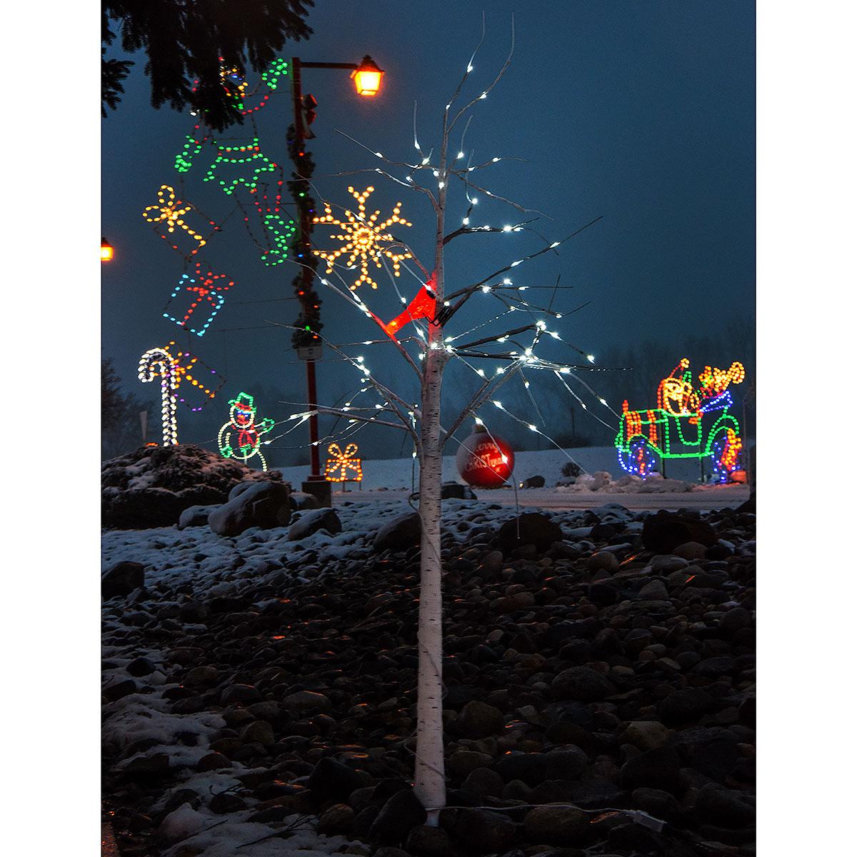 LED Lighted Birch Tree With Cardinal Outdoor Decoration