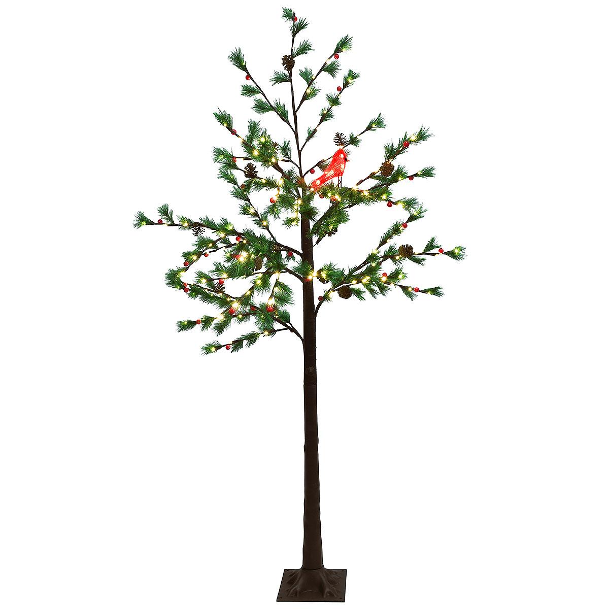 6 Ft. Austrian Pine Tree