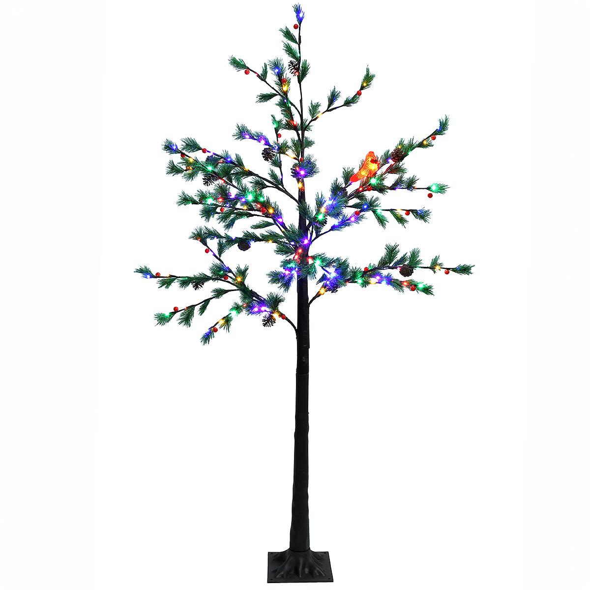 6 Ft. Austrian Pine Tree