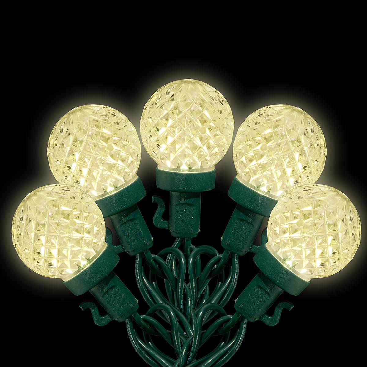 Warm White 50 Light G30 LED String