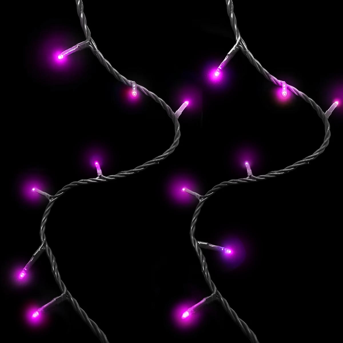 Purple Starry Pro 100 Twinkling 3mm LED Lights