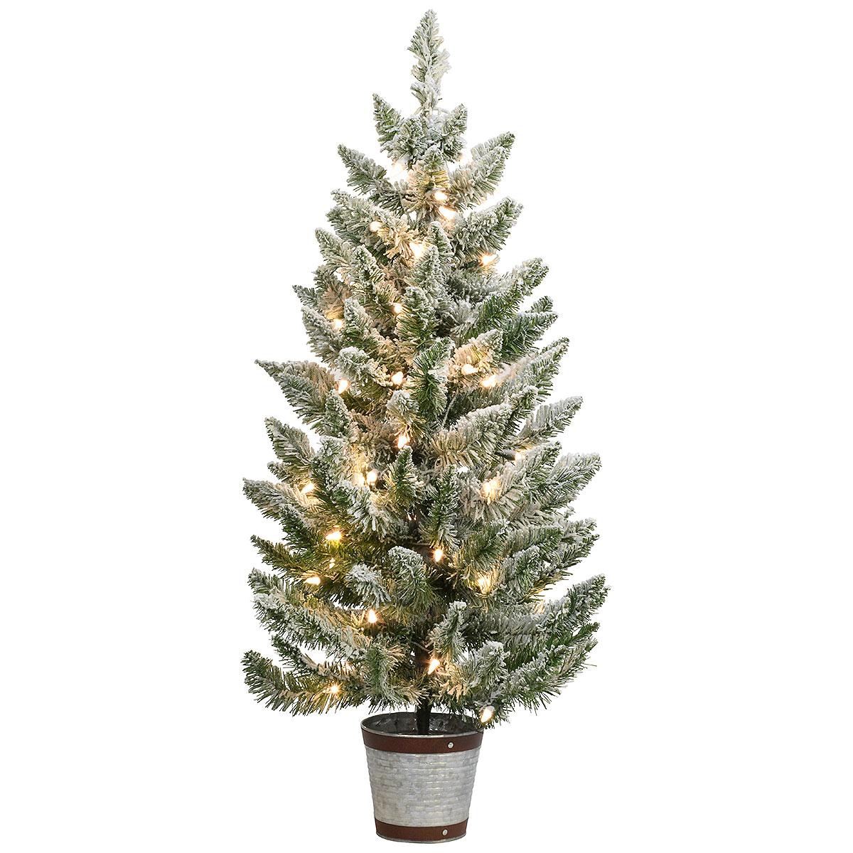 36 Inch Albany Potted Tree