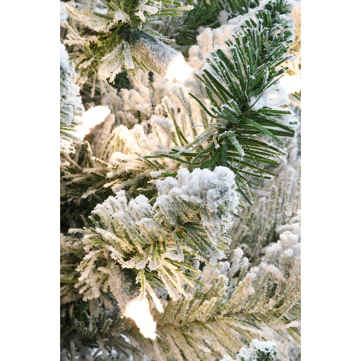 36 Inch Albany Potted Tree