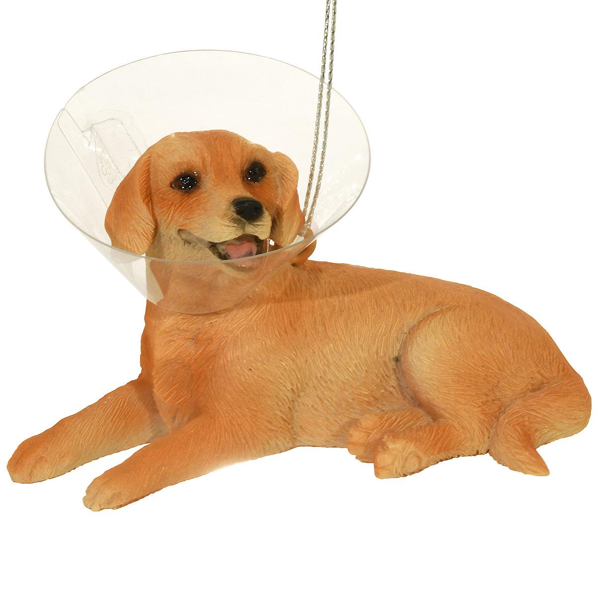 Dog With Cone Of Shame Ornament