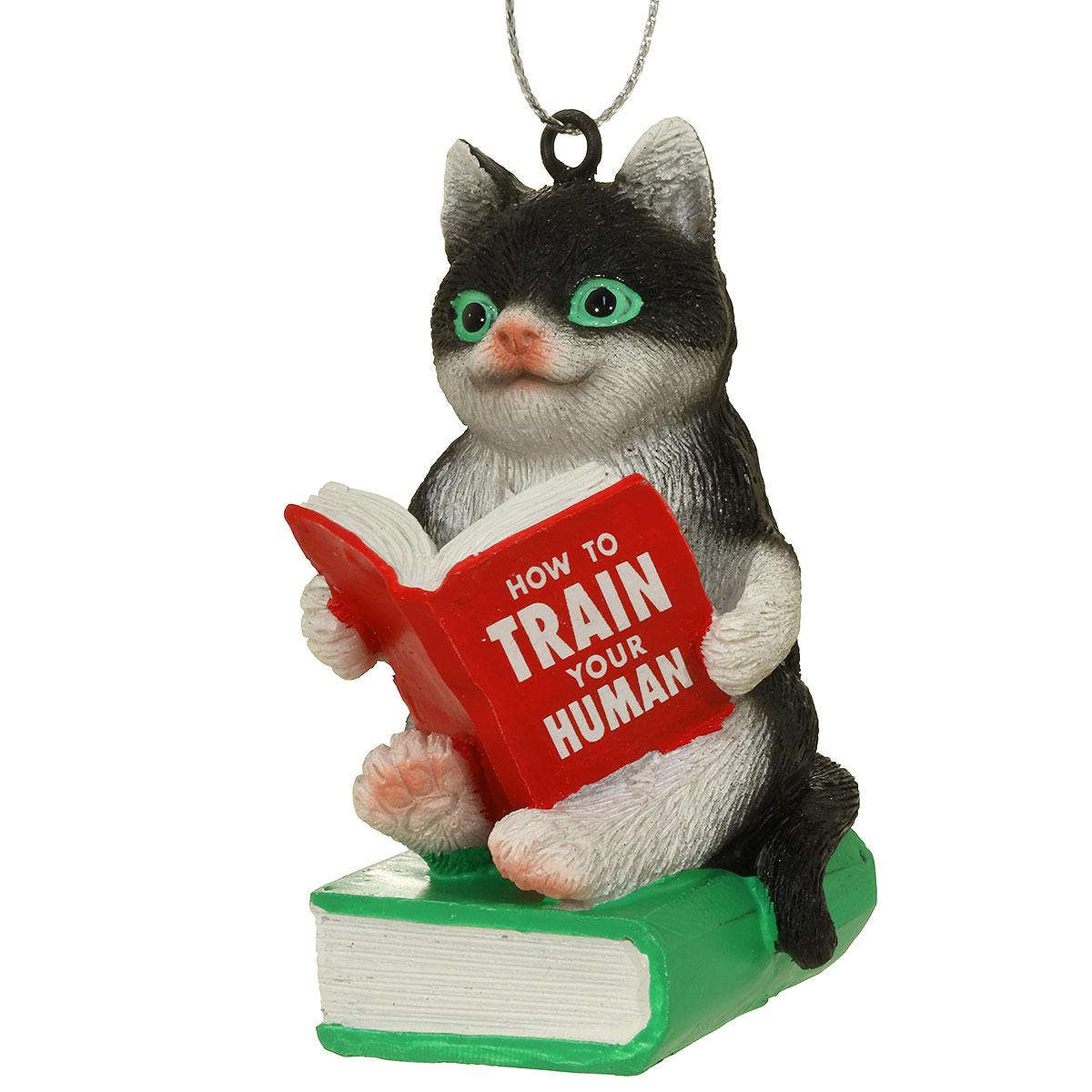Black And White Cat With Book Ornam