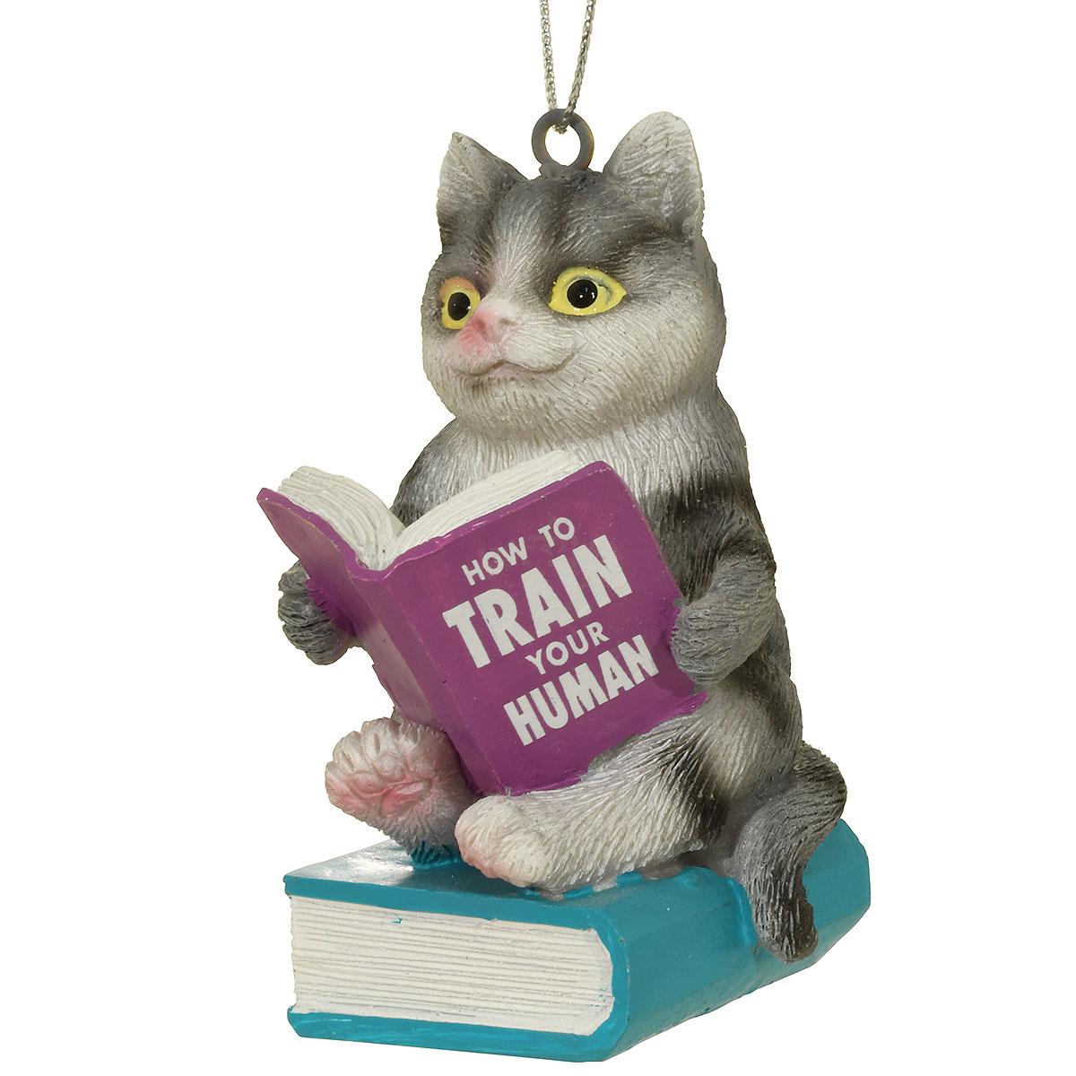 Gray Tabby Cat With Book Ornament