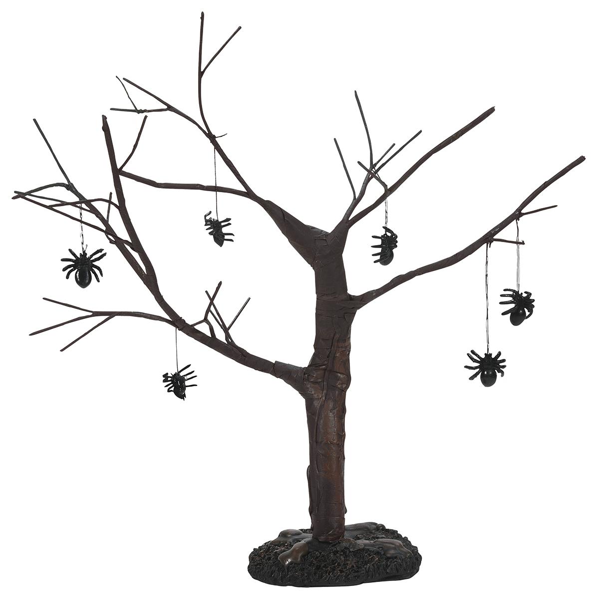 Spider Tree