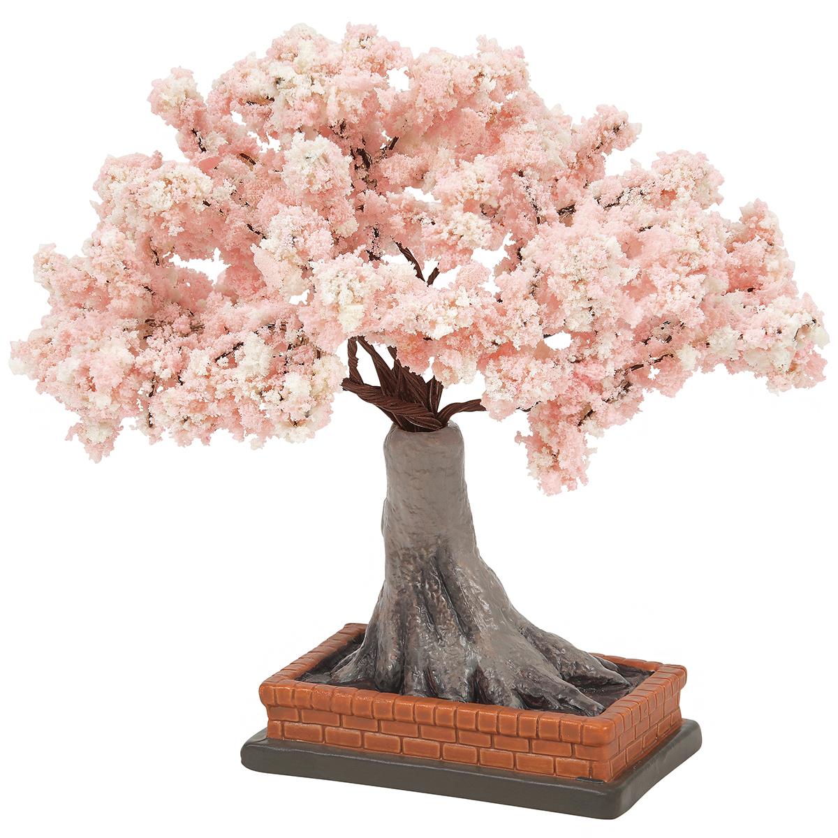 Cherry Blossom In Bloom