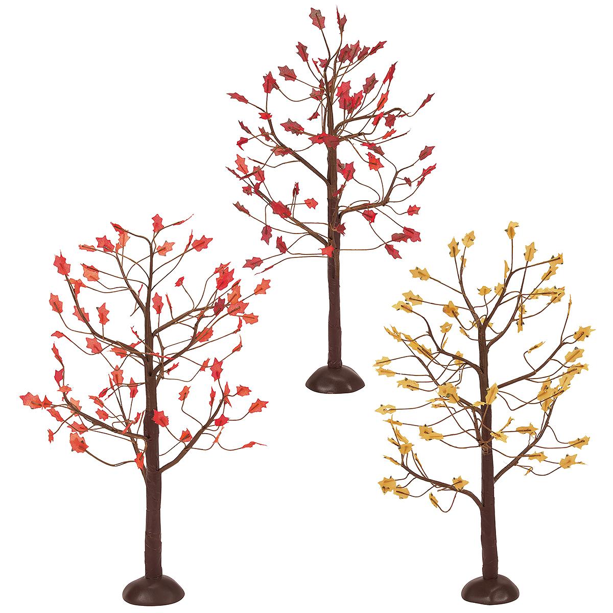 September Oaks
