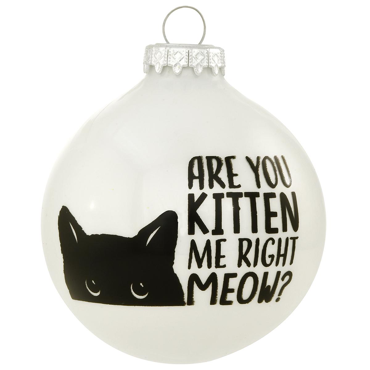 Are You Kitten Me Cat Ornament
