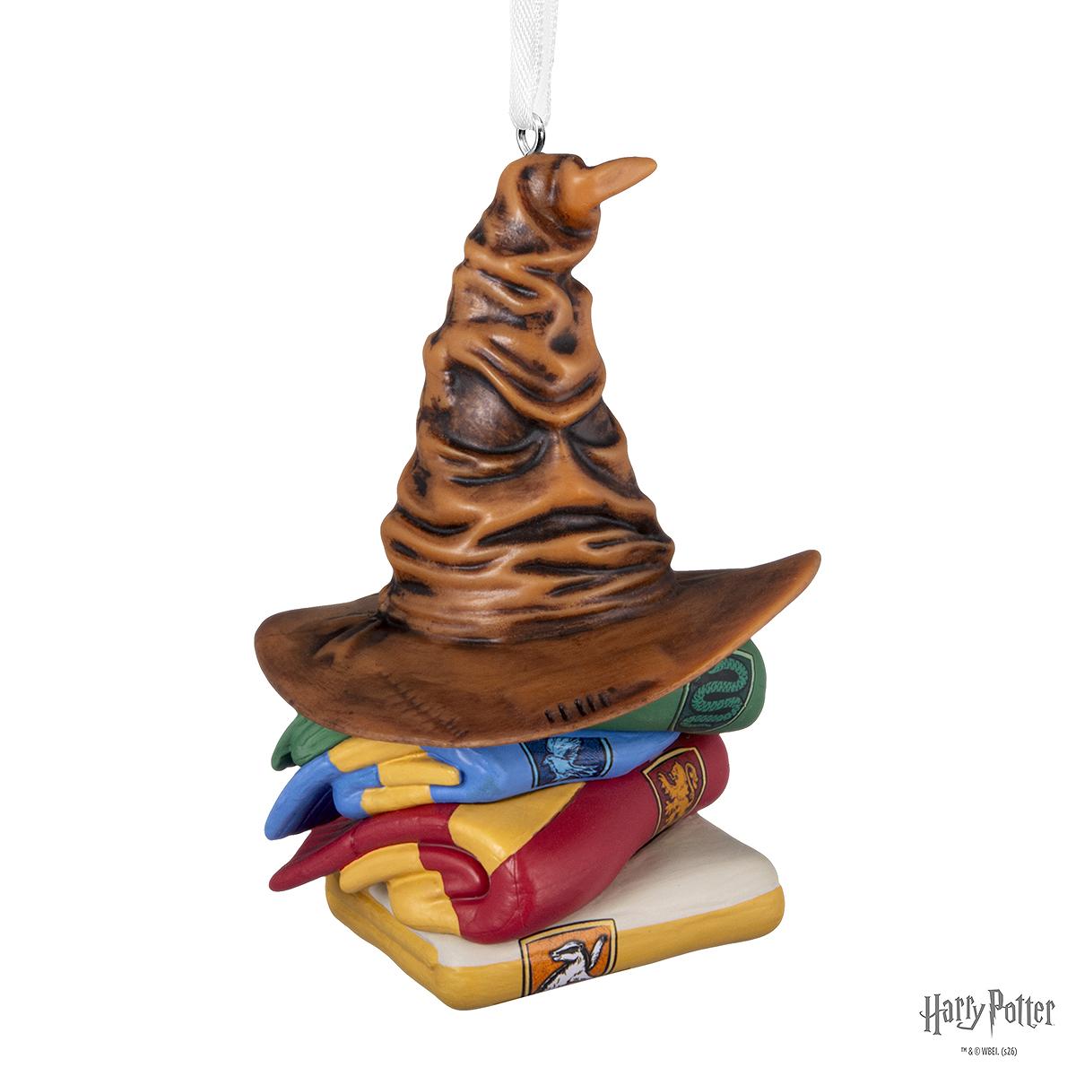 Sorting Hat And House Robes Famous