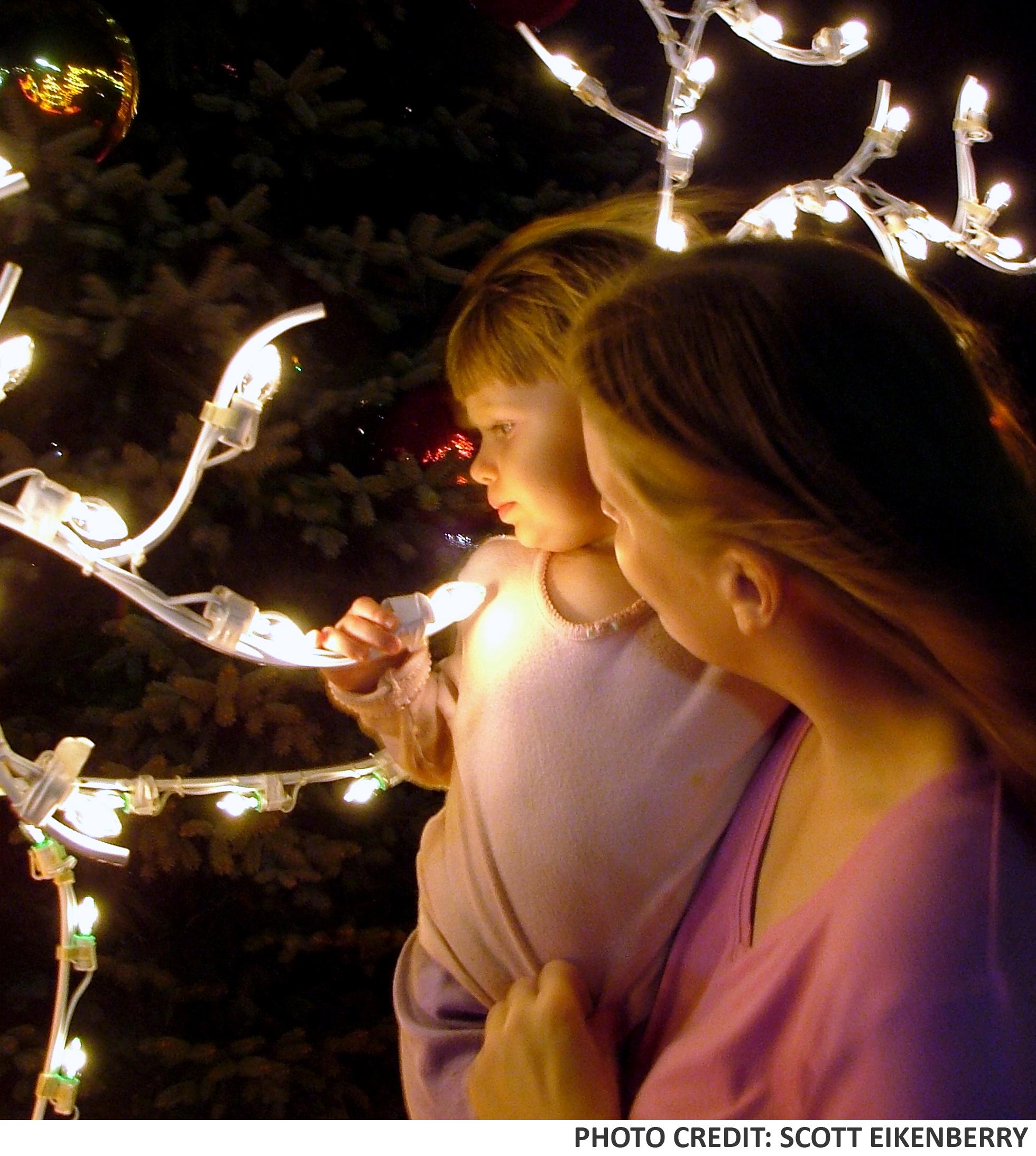 Christmas Lights on Bronner's 25 Christmas Lane Drive At Night